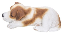 Load image into Gallery viewer, Jack Russell Puppy Sleeping

