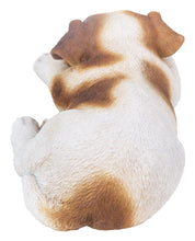 Load image into Gallery viewer, Jack Russell Puppy Sleeping
