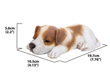 Load image into Gallery viewer, Jack Russell Puppy Sleeping
