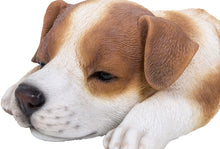Load image into Gallery viewer, Jack Russell Puppy Sleeping
