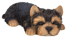 Load image into Gallery viewer, Yorkshire Terrier Puppy Sleeping
