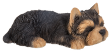 Load image into Gallery viewer, Yorkshire Terrier Puppy Sleeping
