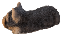 Load image into Gallery viewer, Yorkshire Terrier Puppy Sleeping
