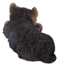Load image into Gallery viewer, Yorkshire Terrier Puppy Sleeping
