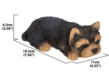 Load image into Gallery viewer, Yorkshire Terrier Puppy Sleeping
