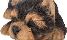 Load image into Gallery viewer, Yorkshire Terrier Puppy Sleeping
