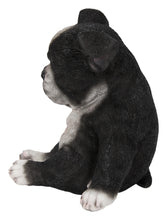 Load image into Gallery viewer, Sitting Sleepy Boston Terrier Puppy Statue (Hi-Line Exclusive)
