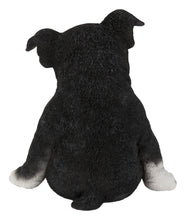 Load image into Gallery viewer, Sitting Sleepy Boston Terrier Puppy Statue (Hi-Line Exclusive)

