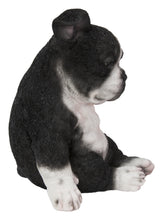 Load image into Gallery viewer, Sitting Sleepy Boston Terrier Puppy Statue (Hi-Line Exclusive)
