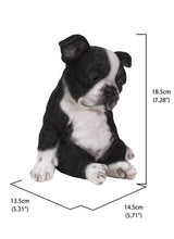 Load image into Gallery viewer, Sitting Sleepy Boston Terrier Puppy Statue (Hi-Line Exclusive)
