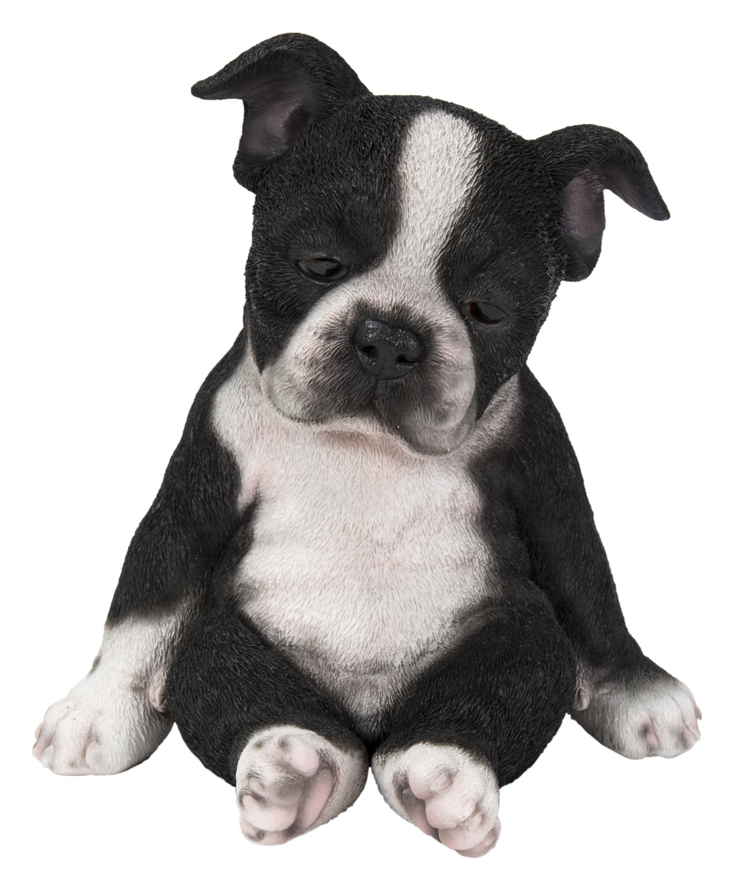 Sitting Sleepy Boston Terrier Puppy Statue (Hi-Line Exclusive)