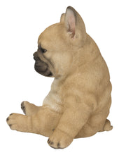 Load image into Gallery viewer, Sleepy French Bulldog Puppy Statue Sitting
