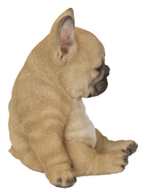 Load image into Gallery viewer, Sleepy French Bulldog Puppy Statue Sitting
