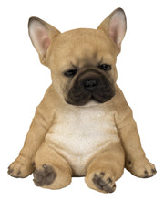 Load image into Gallery viewer, Sleepy French Bulldog Puppy Statue Sitting
