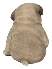 Load image into Gallery viewer, Sleepy Pug Puppy Statue Sitting
