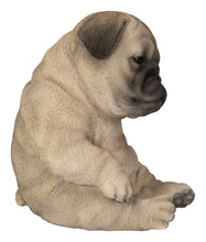 Load image into Gallery viewer, Sleepy Pug Puppy Statue Sitting
