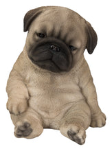 Load image into Gallery viewer, Sleepy Pug Puppy Statue Sitting
