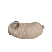 Load image into Gallery viewer, Pug Dreamland: Cozy Brown Polyresin Sleeping Pug Figurine
