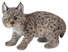 Load image into Gallery viewer, Lynx Kitten
