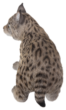 Load image into Gallery viewer, Lynx Kitten
