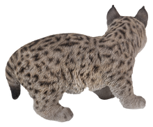 Load image into Gallery viewer, Lynx Kitten
