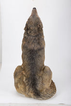 Load image into Gallery viewer, Large Wolf Statue

