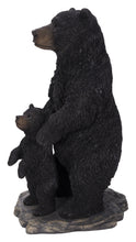 Load image into Gallery viewer, Standing Mother &amp; Baby Black Bears
