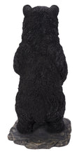 Load image into Gallery viewer, Standing Mother &amp; Baby Black Bears

