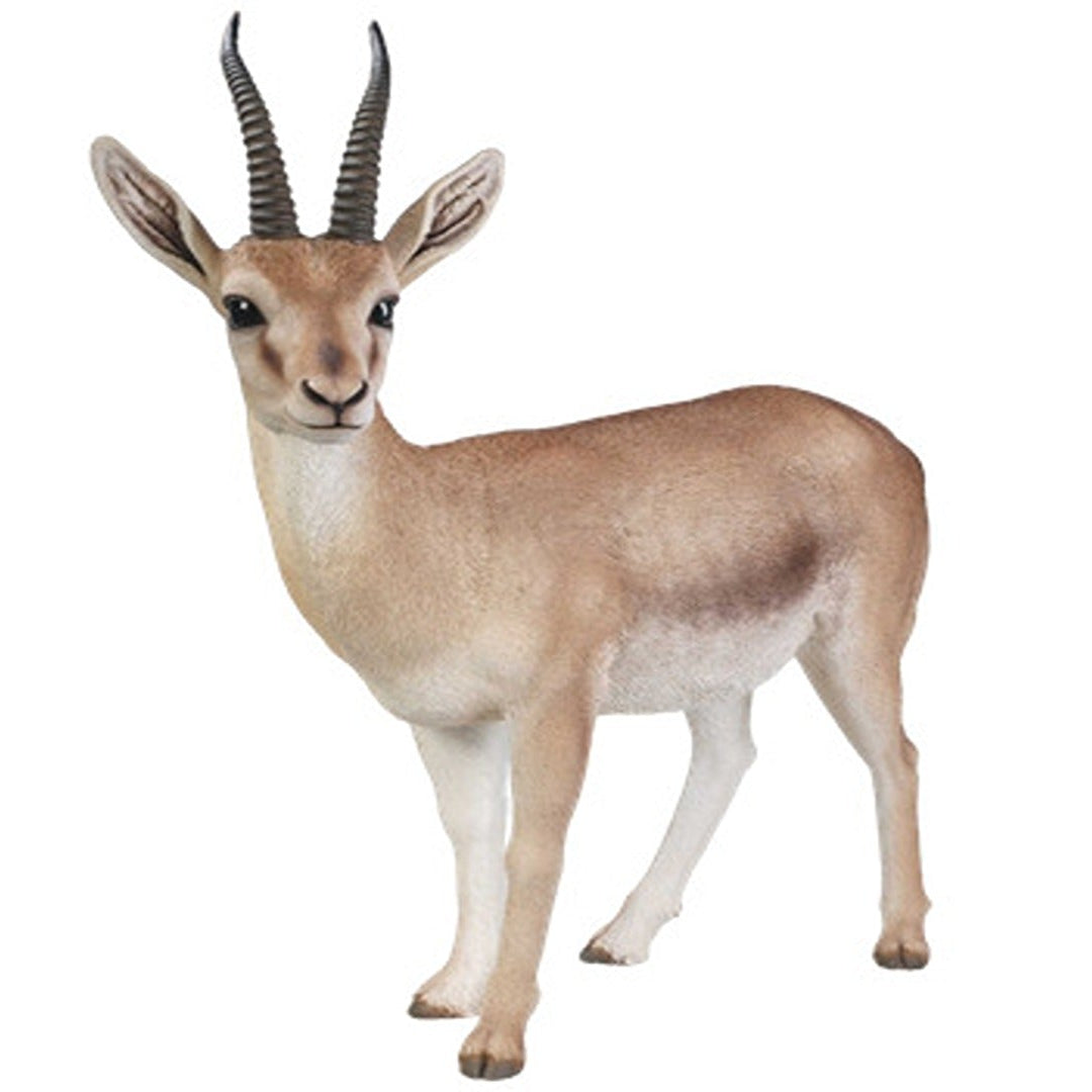 Gazelle Statue