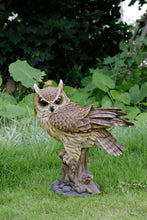 Load image into Gallery viewer, Large Long Eared Owl On Stump W/Fluffed Feathers
