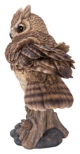 Load image into Gallery viewer, Large Long Eared Owl On Stump W/Fluffed Feathers
