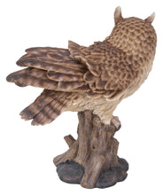 Load image into Gallery viewer, Large Long Eared Owl On Stump W/Fluffed Feathers
