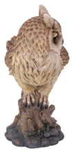 Load image into Gallery viewer, Large Long Eared Owl On Stump W/Fluffed Feathers
