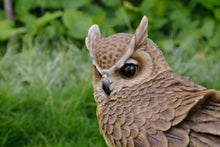 Load image into Gallery viewer, Large Long Eared Owl On Stump W/Fluffed Feathers
