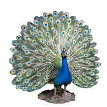 Load image into Gallery viewer, Peacock W/Feathers Out Statue
