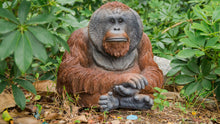 Load image into Gallery viewer, Orangutan Sitting - Mid Size
