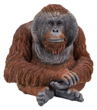 Load image into Gallery viewer, Orangutan Sitting - Mid Size
