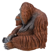 Load image into Gallery viewer, Orangutan Sitting - Mid Size
