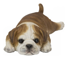 Load image into Gallery viewer, Bulldog Fridge Magnet
