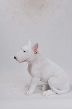 Load image into Gallery viewer, Bull Terrier Statue
