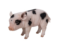 Load image into Gallery viewer, Standing Baby Pig W/Black Spots
