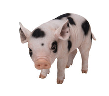 Load image into Gallery viewer, Standing Baby Pig W/Black Spots
