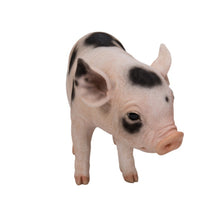Load image into Gallery viewer, Standing Baby Pig W/Black Spots
