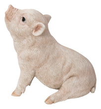 Load image into Gallery viewer, Baby Pig Sitting - Pink
