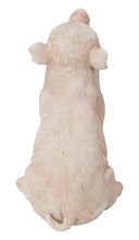 Load image into Gallery viewer, Baby Pig Sitting - Pink
