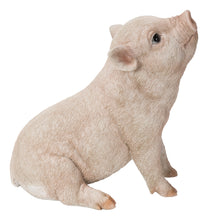 Load image into Gallery viewer, Baby Pig Sitting - Pink
