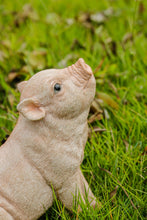 Load image into Gallery viewer, Baby Pig Sitting - Pink
