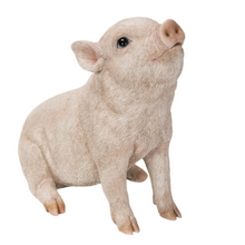 Load image into Gallery viewer, Baby Pig Sitting - Pink
