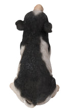 Load image into Gallery viewer, Baby Pig Sitting - Black And White
