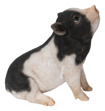 Load image into Gallery viewer, Baby Pig Sitting - Black And White
